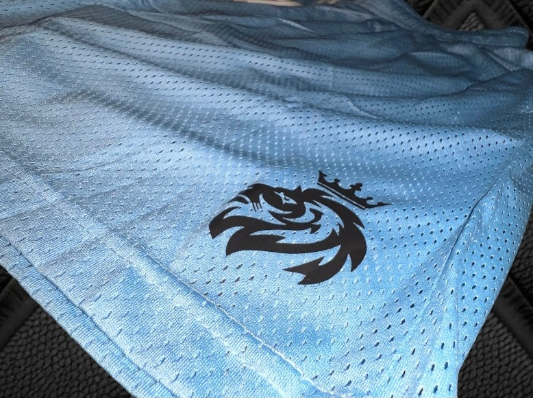 Light Blue 5 inch mesh shorts