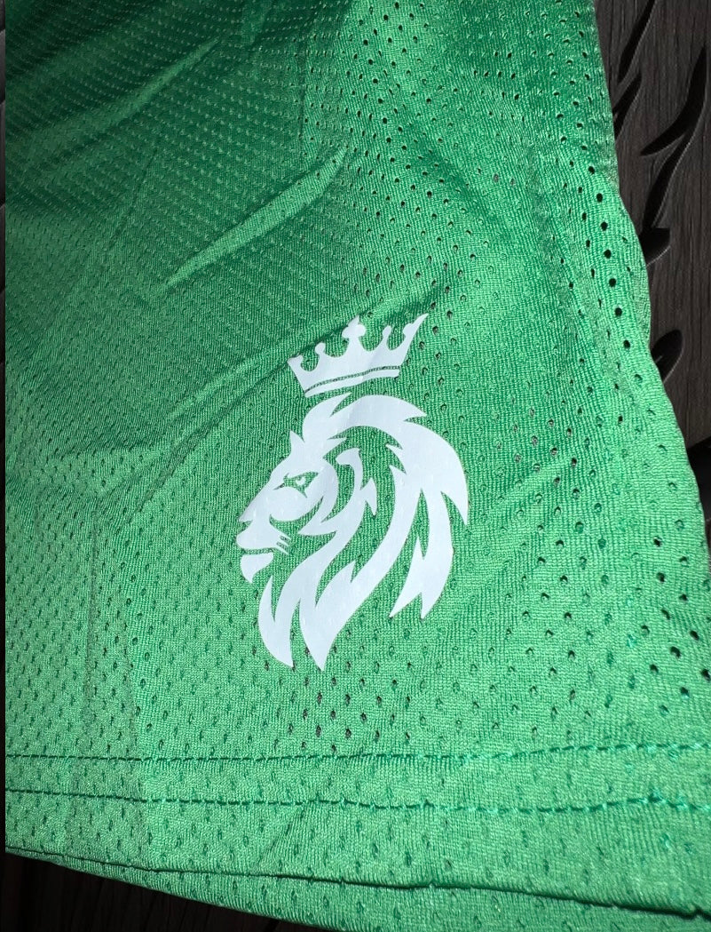 Green Mesh 5 inch shorts