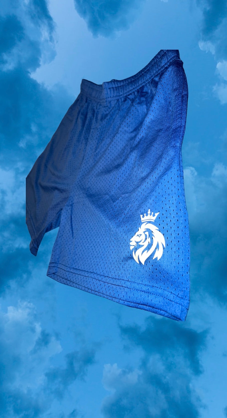 Blue mesh 5 inch shorts