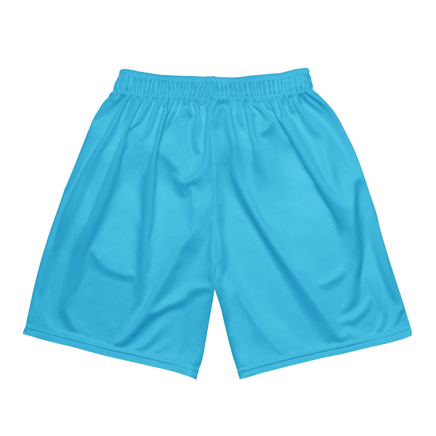 Light Blue mesh shorts