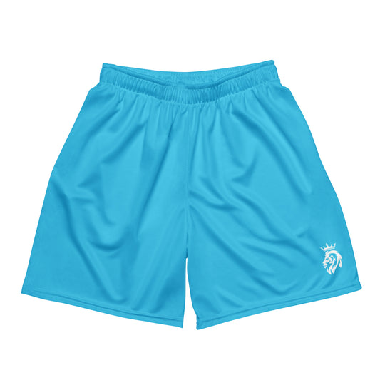 Light Blue mesh shorts