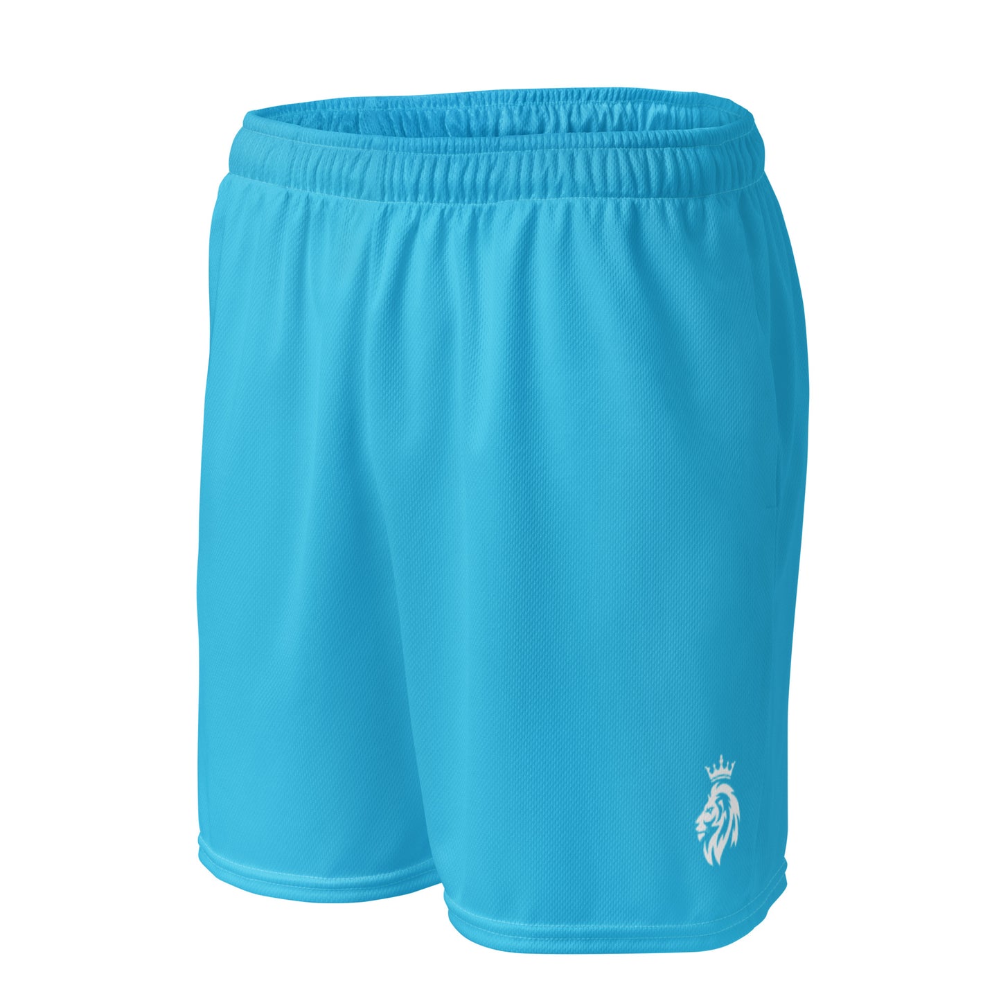 Light Blue mesh shorts