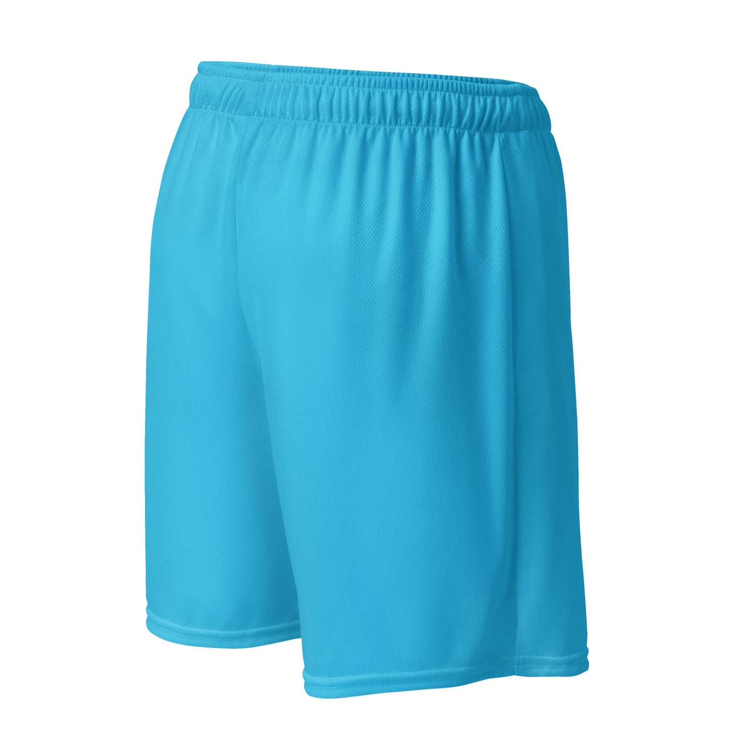 Light Blue mesh shorts