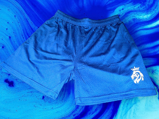 Blue mesh 5 inch shorts